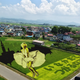 Illustration for article titled Behold These Incredible Artworks Grown from a Rice Field in Japan